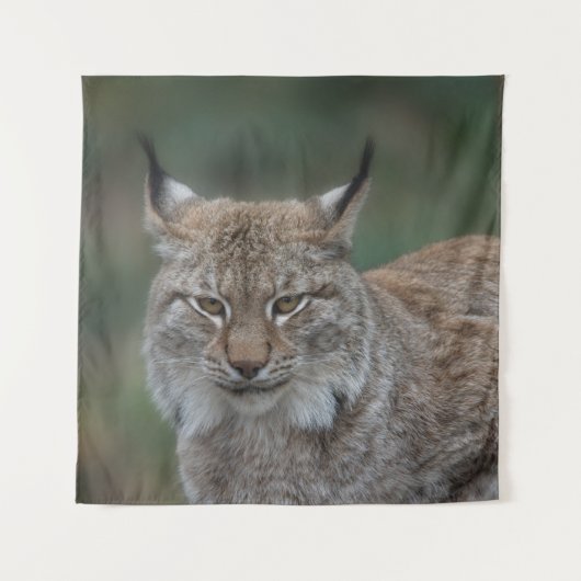 Lynx sieht dich an wandteppich (Vorderseite)