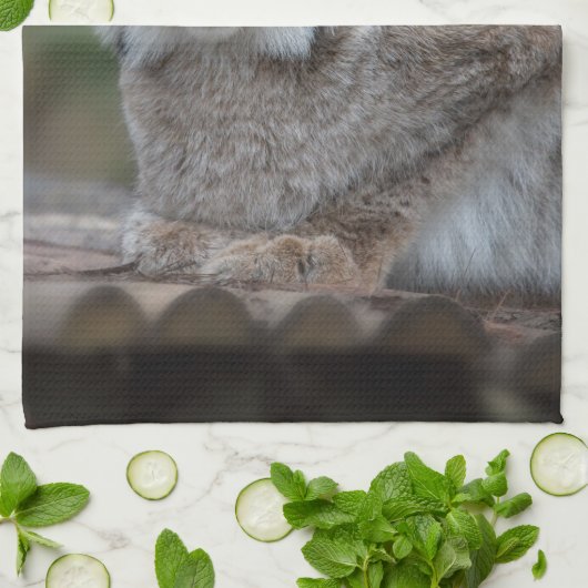 Lynx sieht dich Fleece Blanket an Geschirrtuch (Gefaltet)