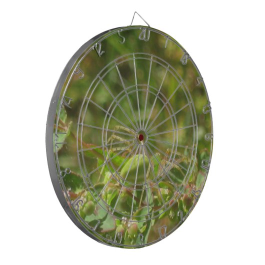 Lynx Spider Dartscheibe (Vorderseite Links)