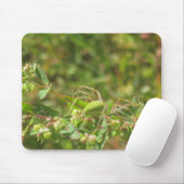 Lynx Spider Mousepad (Mit Mouse)