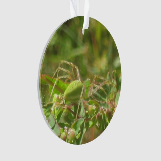 Lynx Spider Ornament (Vorderseite)