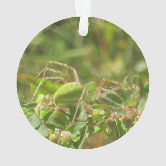 Lynx Spider Ornament (Rückseite)