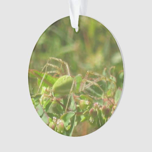 Lynx Spider Ornament (Vorderseite)