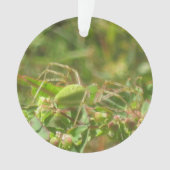 Lynx Spider Ornament (Vorderseite)
