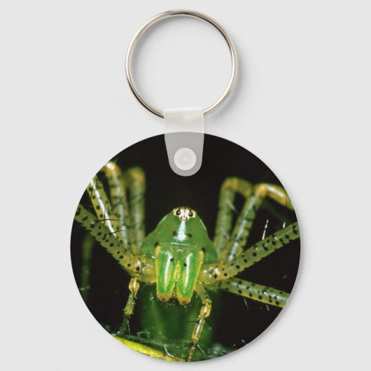 Lynx Spider Schlüsselanhänger (Vorderseite)
