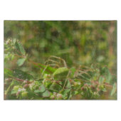 Lynx Spider Schneidebrett (Vorderseite)