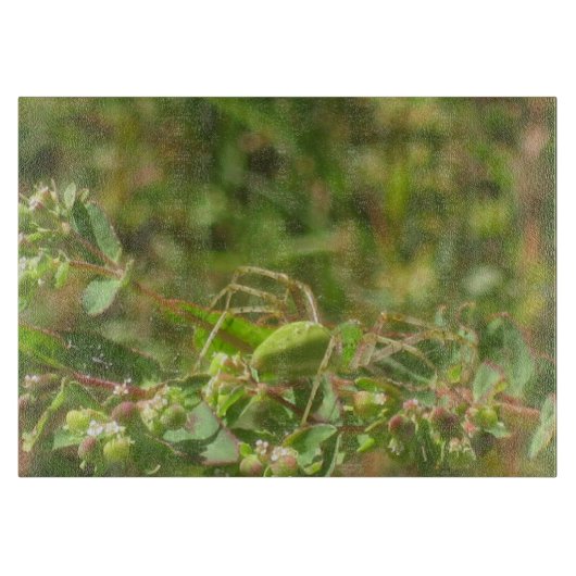 Lynx Spider Schneidebrett (Vorderseite)