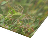 Lynx Spider Schneidebrett (Ecke)