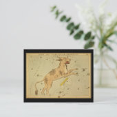 Lynx und Telescopium Herschilii Postkarte (Stehend Vorderseite)
