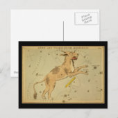 Lynx und Telescopium Herschilii Postkarte (Vorne/Hinten)