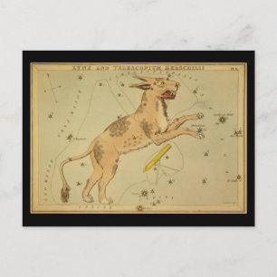 Lynx und Telescopium Herschilii Postkarte