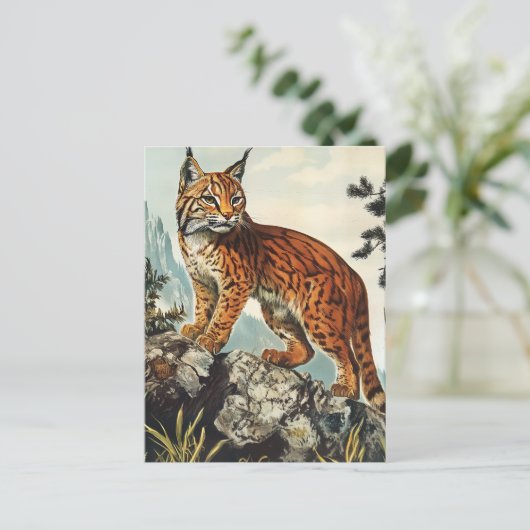 Lynx Vintag Postkarte (Stehend Vorderseite)