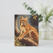 Lynx Vintag Postkarte (Stehend Vorderseite)