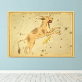 Lynx - Vintage Sternenkartenbilder Leinwanddruck (Insitu (Holzboden))