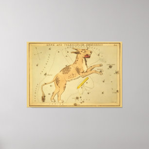 Lynx - Vintage Sternenkartenbilder Leinwanddruck