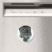 Lynx Winter Magnet (In Situ (Geschirrspüler))