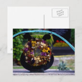 Lyre mit Strohblumen Postkarte (Vorne/Hinten)