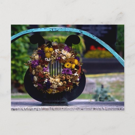 Lyre mit Strohblumen Postkarte (Vorderseite)