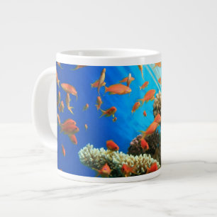 Lyretail anthias auf Korallenriff Jumbo-Tasse