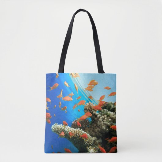 Lyretail anthias auf Korallenriff Tasche (Vorderseite)