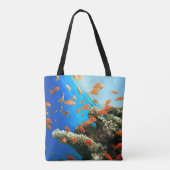 Lyretail anthias auf Korallenriff Tasche (Rückseite)