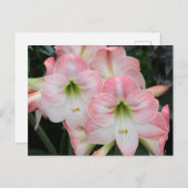 Lys-Postkarte Postkarte (Vorne/Hinten)