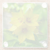 Lysimachia punctata glasuntersetzer (Rückseite)