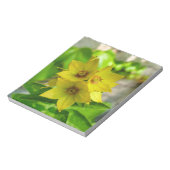 Lysimachia punctata notizblock (Rotiert)