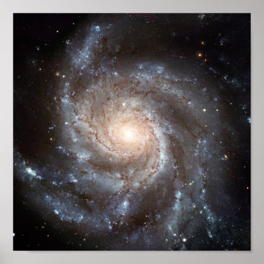 M101 Galaxy Poster (Vorne)