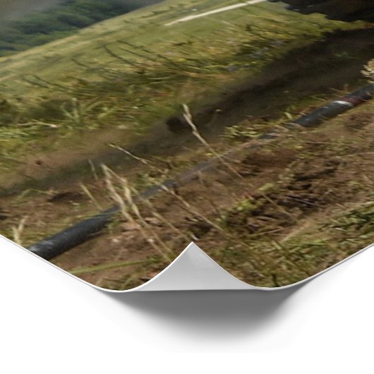 M109A6 Paladin Poster (Ecke)