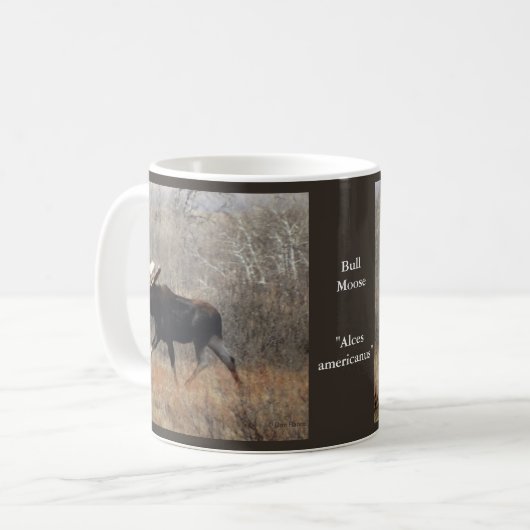 M10 Bull-Elch in der Brush Kaffeetasse (Vorderseite Links)