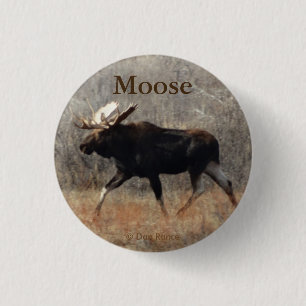 M10 Bull Moose Button