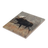 M10 Bull Moose Fliese (Seite)