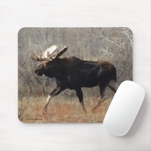 M10 Bull Moose Mousepad (Mit Mouse)