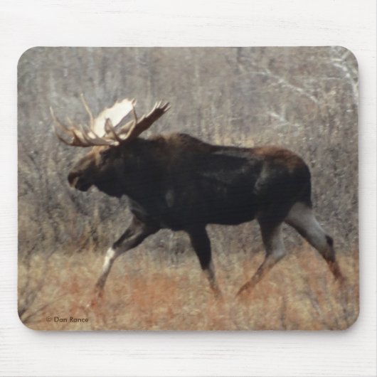 M10 Bull Moose Mousepad (Vorne)