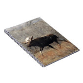 M10 Bull Moose Notizblock (Rechte Seite)