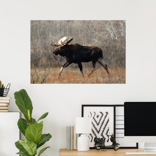 M10 Bull Moose Poster (Heimbüro)