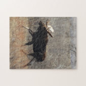 M10 Bull Moose Puzzle (Horizontal)