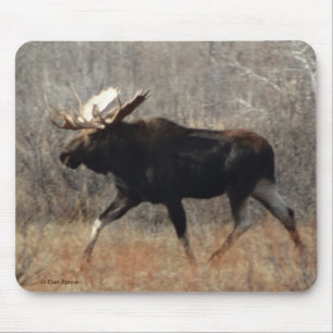M10 Bullmoose Mousepad