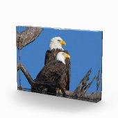 M15 & F23 - Ein neues Paar Fotoblock (Rechts)