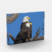 M15 & F23 - Ein neues Paar Fotoblock (Links)