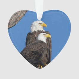 M15 & F23-Logo Feiertage-Ornament Ornament