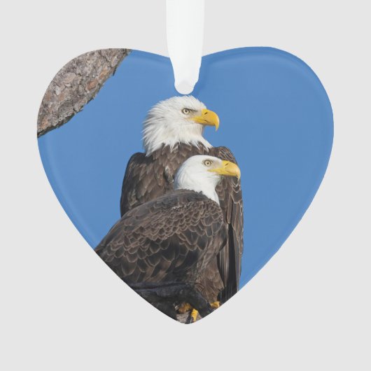 M15 & F23-Logo Feiertage-Ornament Ornament (Vorderseite)