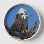 M15 & F23 - Neues Paar in der Nestmauer Uhr (Vorderseite)