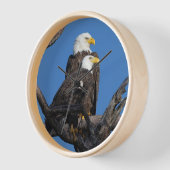 M15 & F23 - Neues Paar in der Nestmauer Uhr (Winkel)