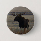 M1 Bull Elch Button (Vorderseite)