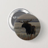 M1 Bull Elch Button (Vorne & Hinten)