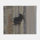 M1 Bull Elch Fleecedecke (Vorderseite (Horizontal))