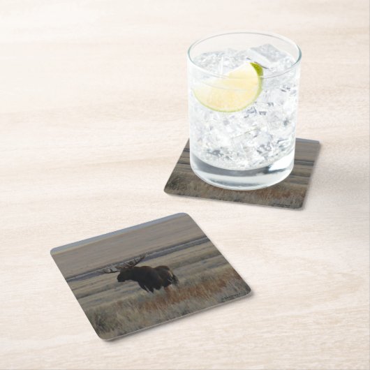 M1 Bull Elch Rechteckiger Pappuntersetzer (Vor Ort)