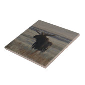 M1 Bull Moose Big Bull Fliese (Seite)